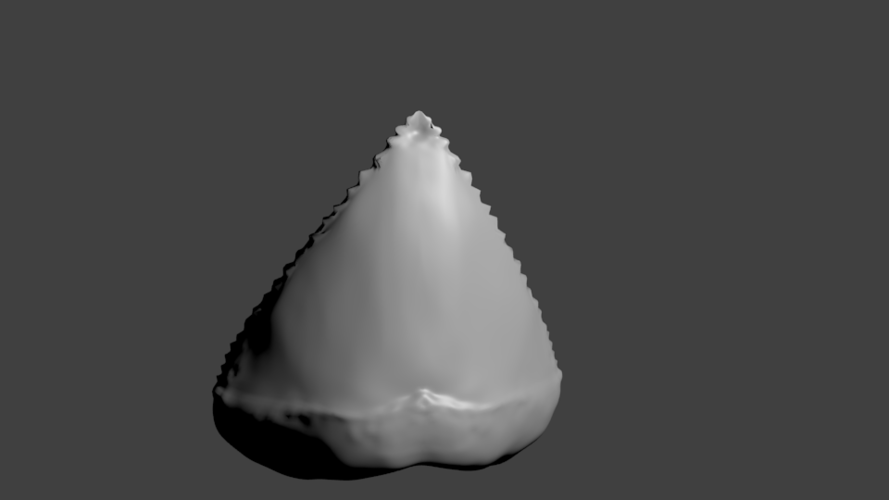 Great White Shark Tooth 3D Print 202025