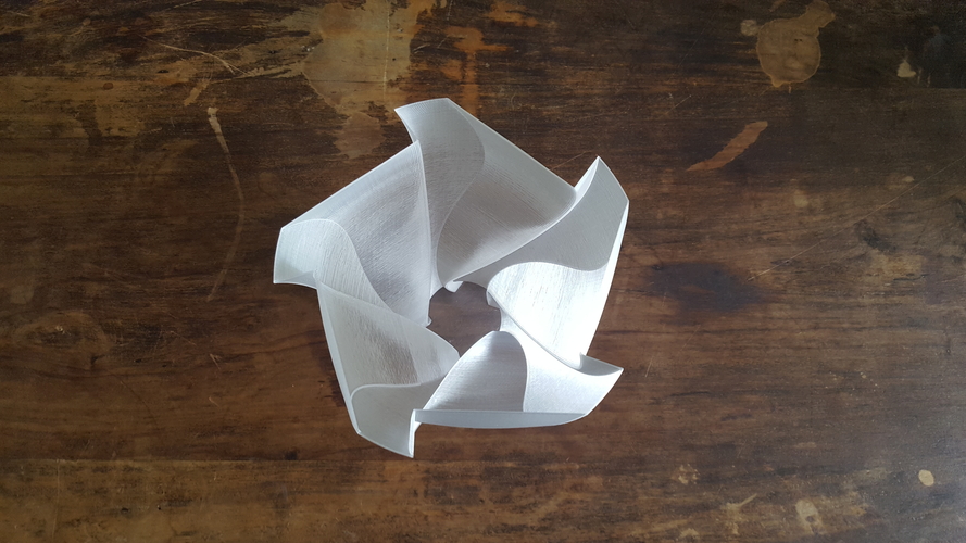 Unfolding Flower Vase Lampshade 3D Print 202091