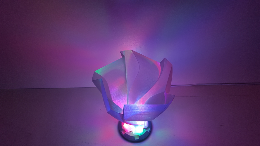 Unfolding Flower Vase Lampshade 3D Print 202093