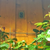 Arlo mounting in a wall - Thumbnail 7
