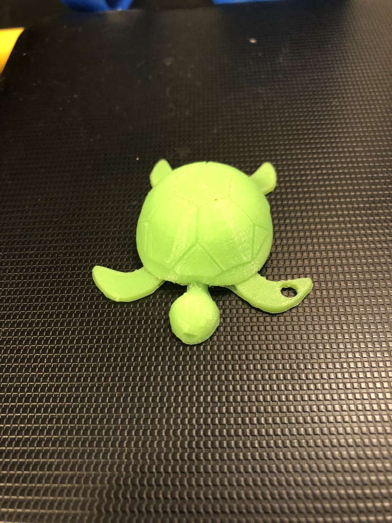 Sea turtle keychain