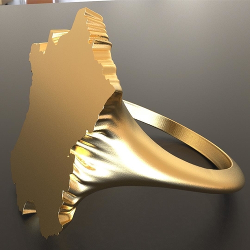 France ring  3D Print 202921