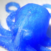 Small 3D Printed Octopuses for quality test [ size=50mm ] 3D Printing 20297