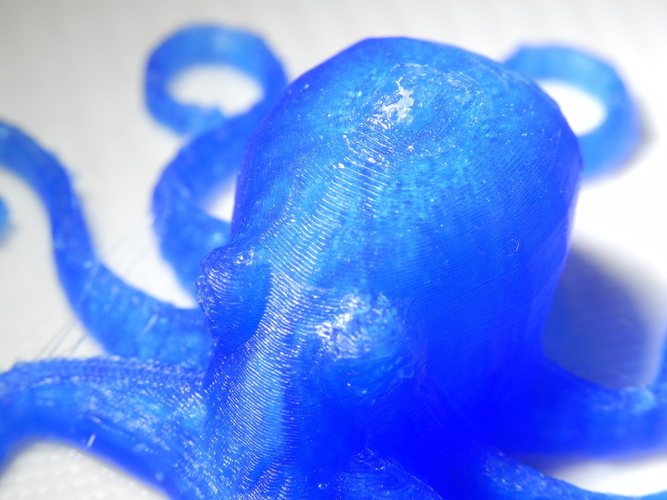 3D Printed Octopuses for quality test [ size=50mm ] 3D Print 20298