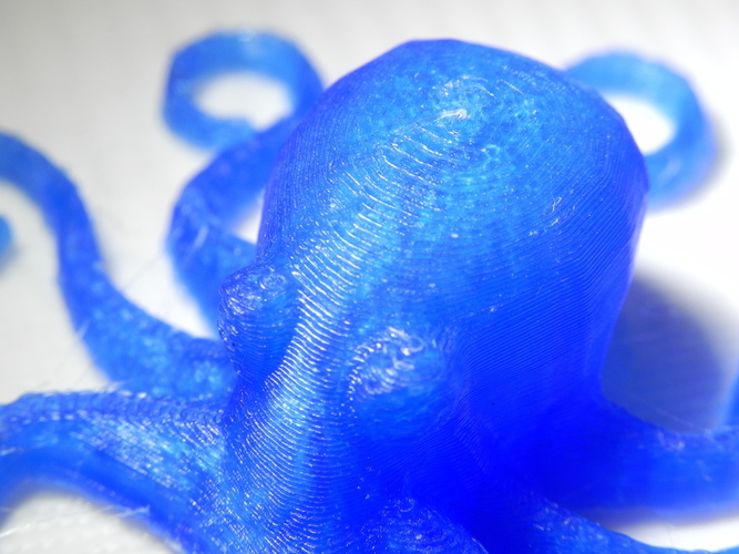 3D Printed Octopuses for quality test [ size=50mm ] 3D Print 20299