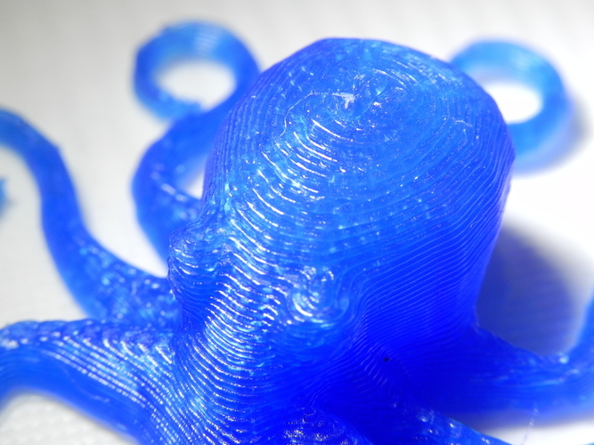 3D Printed Octopuses for quality test [ size=50mm ] 3D Print 20302
