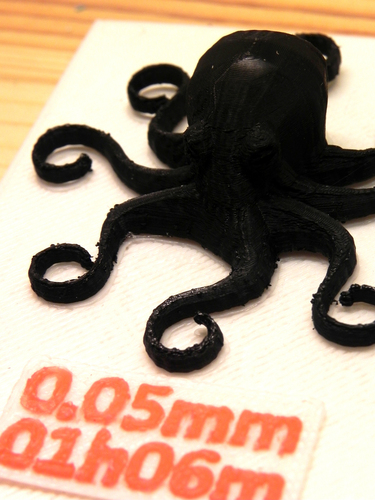 3D Printed Octopuses for quality test [ size=50mm ] (1) 3D Print 20308