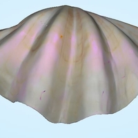 Shell - Stoup Shell from Thailand - Thumbnail 3