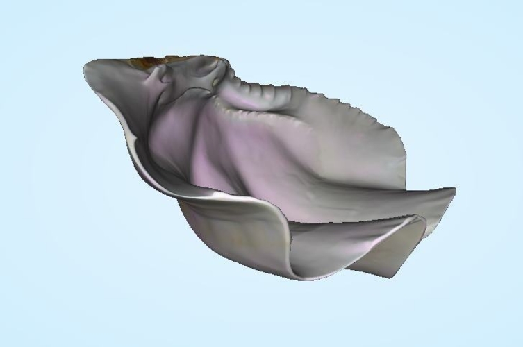 Shell - Stoup Shell from Thailand 3D Print 203325