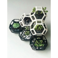 garden pot - Thumbnail 3