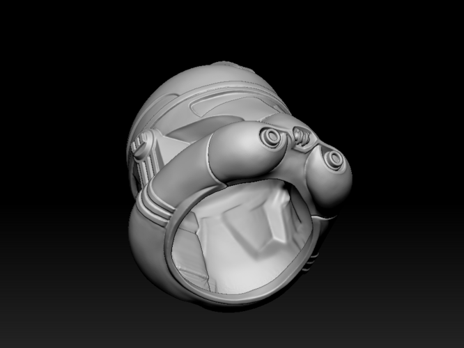 Galaxy  Trooper P2 Helmet Fan Art 3D Print 203683