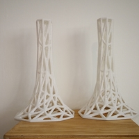 Small Architectural Lattice - Slope Transition 3D Printing 203985