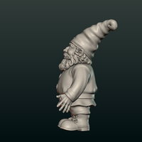 Garden Gnome - Thumbnail 8