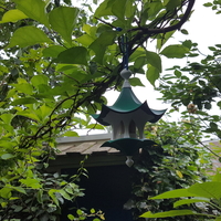Little Bird Feeder Air Temple - Thumbnail 3