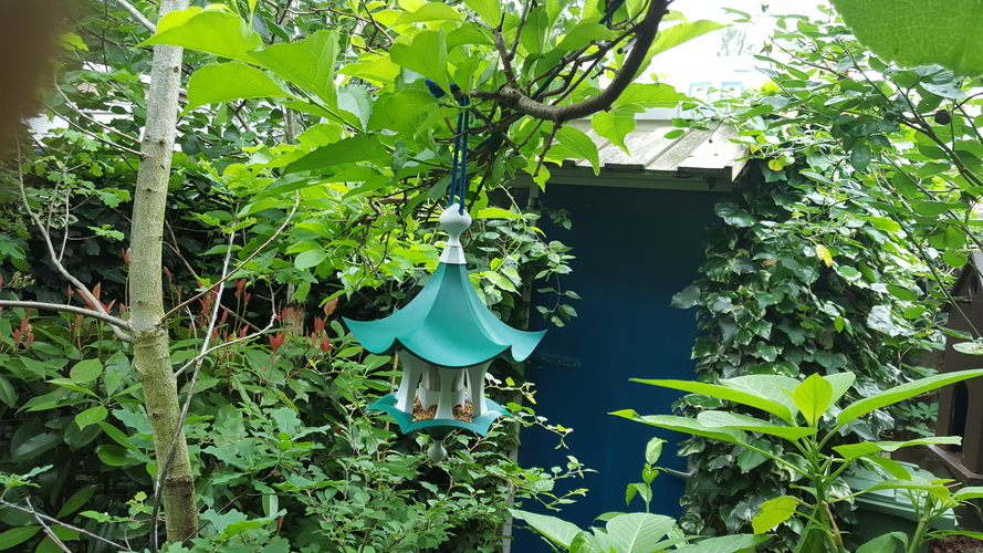 Little Bird Feeder Air Temple 3D Print 204768