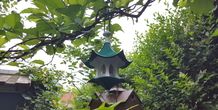 Image 204769