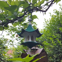 Little Bird Feeder Air Temple - Thumbnail 6