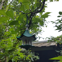 Little Bird Feeder Air Temple - Thumbnail 7