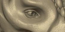 Image 205066