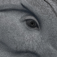 Demon Dragon Head - Thumbnail 16