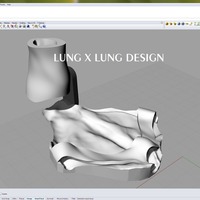 A lame duck with his 3d printed walking brace @ NTUVH - Thumbnail 5