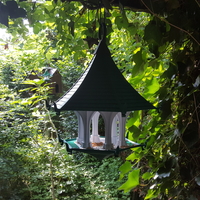 The Light Sky Bird Temple - Thumbnail 17