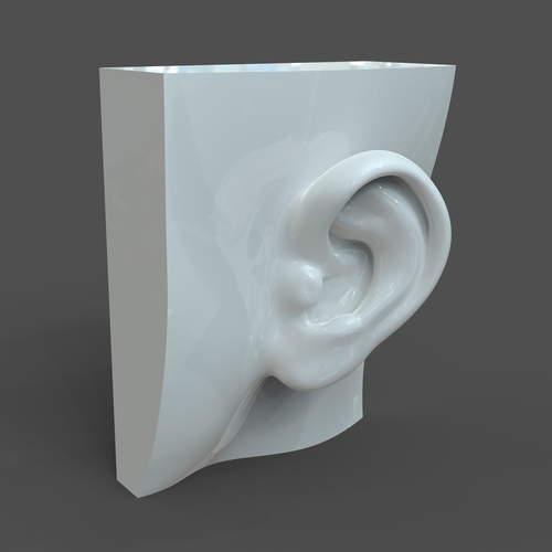 Realistic woman ear model F1P1D0V1ear 3D Print 205802