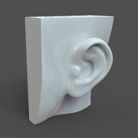 Realistic woman ear model F1P1D0V1ear - Thumbnail 1