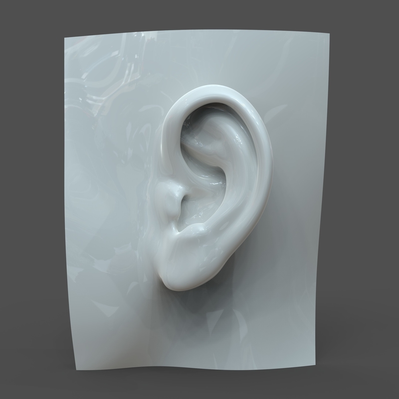 Realistic woman ear model F1P1D0V1ear