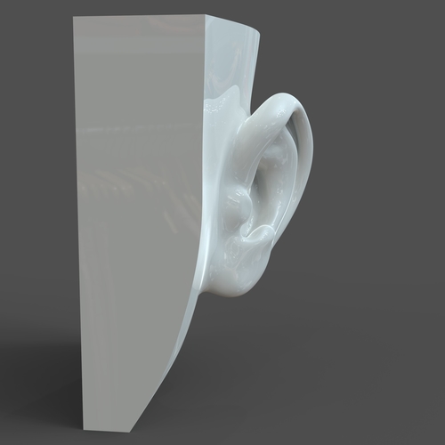 Realistic woman ear model F1P1D0V1ear 3D Print 205806