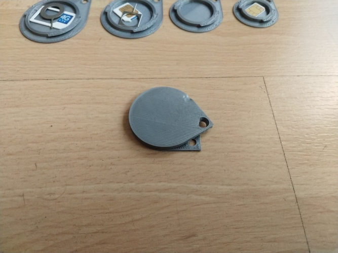 Key Ring Safe for Sim Cards 3D Print 205850