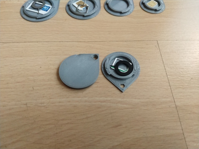 Key Ring Safe for Sim Cards 3D Print 205852