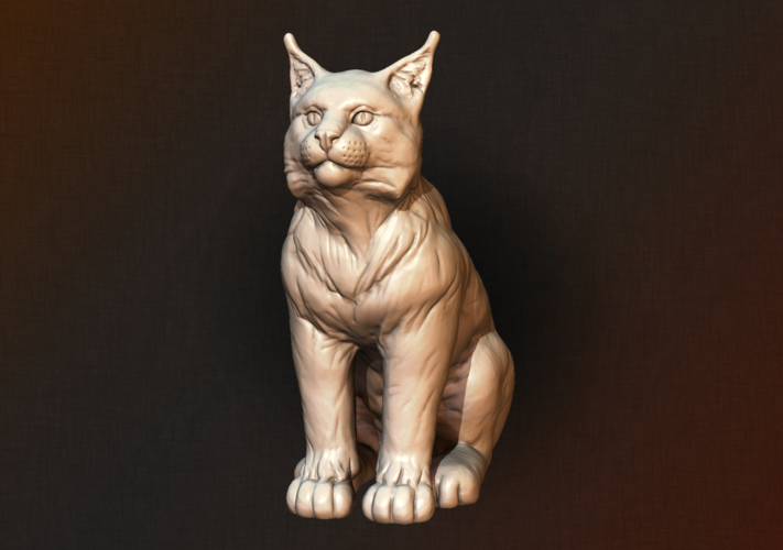 Lynx Kitten 3D Print 206066