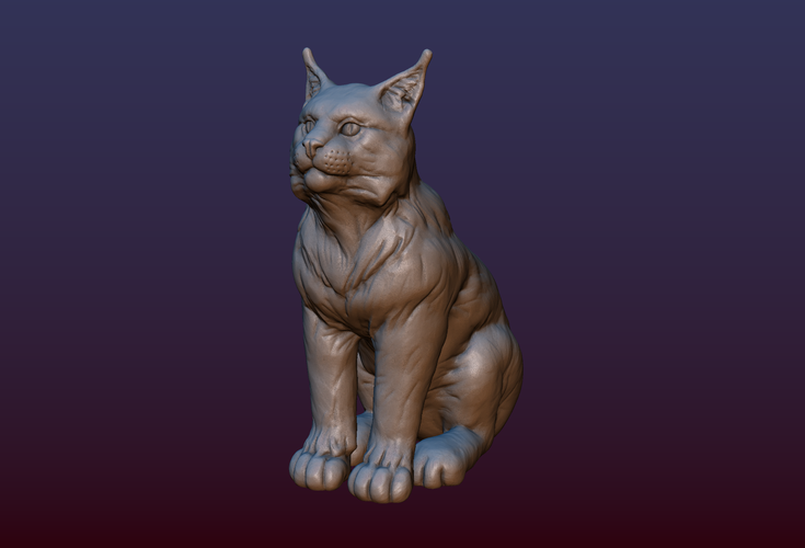 Lynx Kitten 3D Print 206067