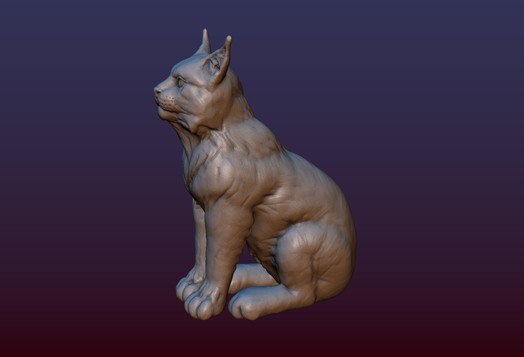 Lynx Kitten 3D Print 206068