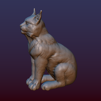 Lynx Kitten - Thumbnail 3