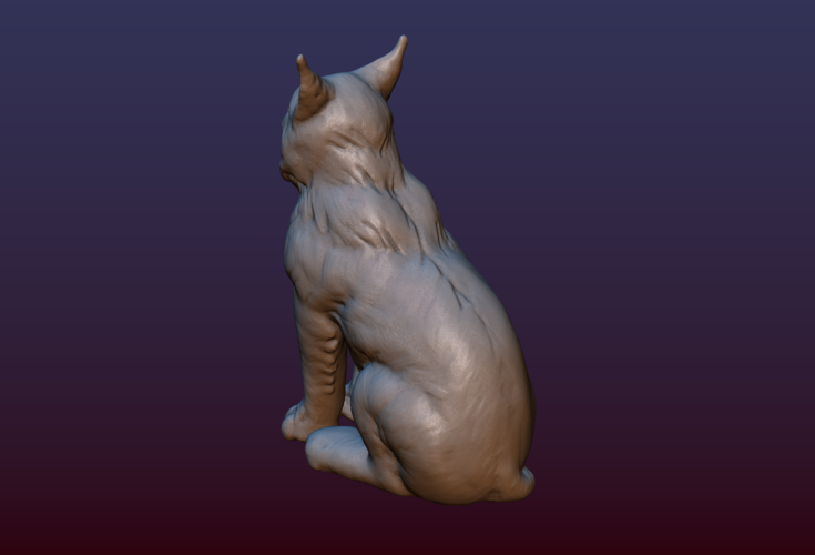 Lynx Kitten 3D Print 206069
