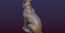 Image 206069