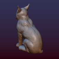 Lynx Kitten - Thumbnail 4