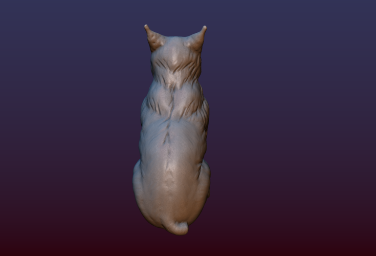 Lynx Kitten 3D Print 206070
