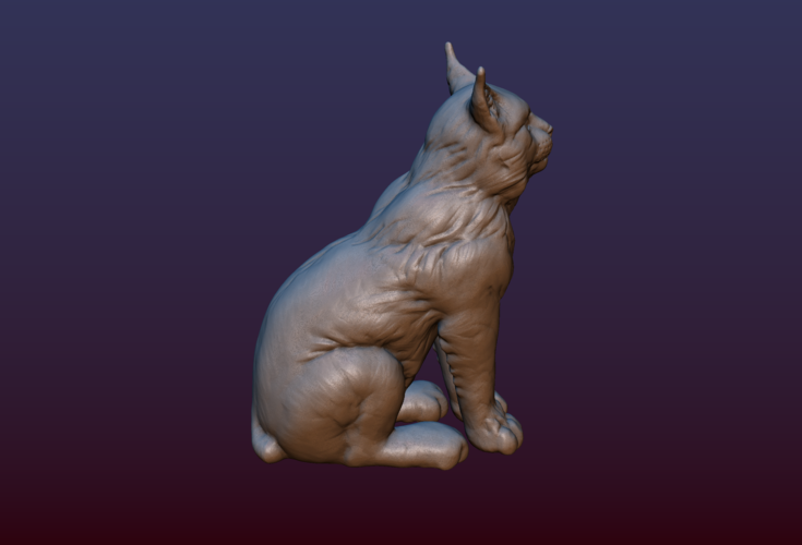 Lynx Kitten 3D Print 206071
