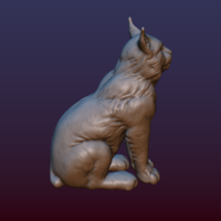 Lynx Kitten - Thumbnail 6