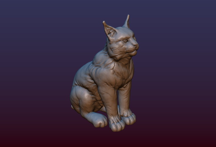 Lynx Kitten 3D Print 206072