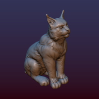 Lynx Kitten - Thumbnail 7