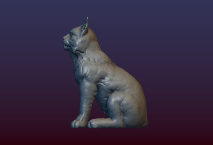 Lynx Kitten 3D Print 206076