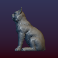 Lynx Kitten - Thumbnail 11