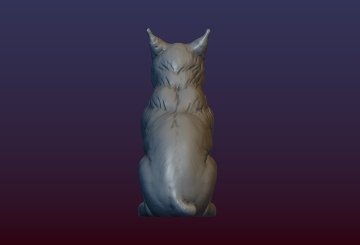 Lynx Kitten 3D Print 206077