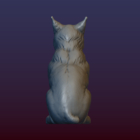 Lynx Kitten - Thumbnail 12