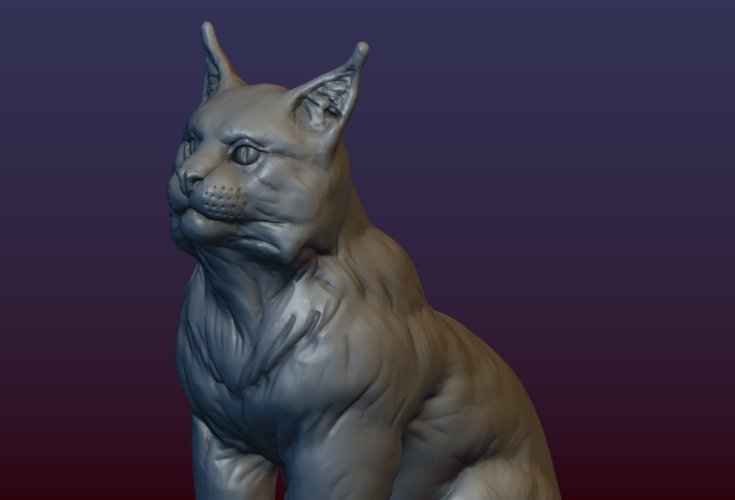 Lynx Kitten 3D Print 206081