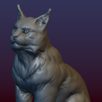 Lynx Kitten - Thumbnail 16